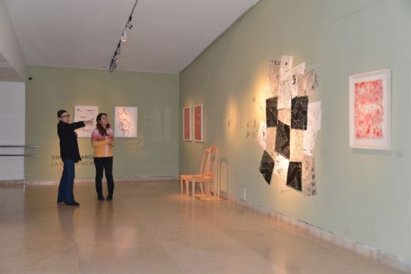 Muestra en el Museo Altamira