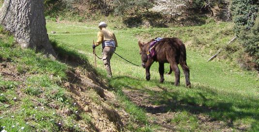 Turismo cantabria - camino lebaniego - camino con burros - año jubilar lebaniego - 2017