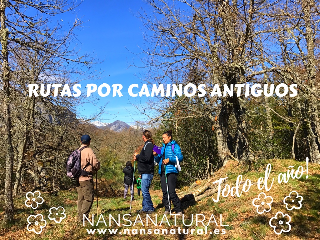 turismo cantabria - nansa - excursiones - actividades al aire libre - excursiones en la naturaleza - 2017