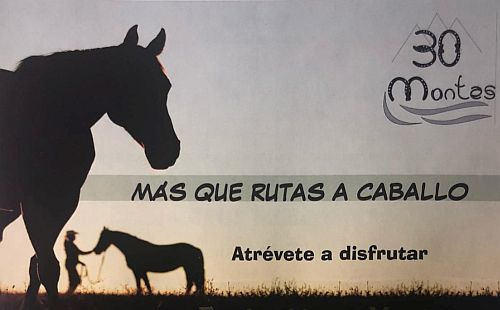 Cantabria - Penagos - experiencias - equitación - caballos - verano 2018