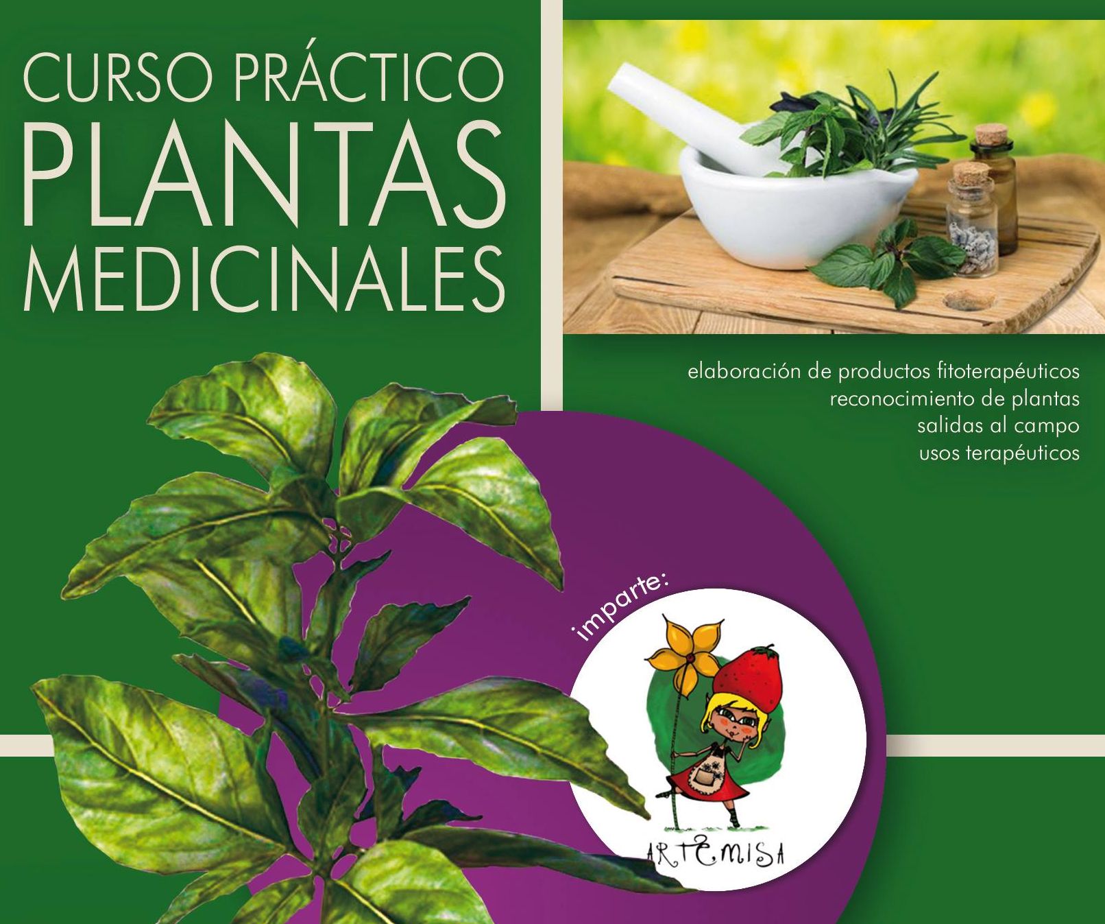 turismo cantabria - liébana - bejes - plantas medicinales - curso - mayo 2019
